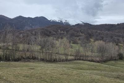 Casă cu 3 camere în Costești - 1