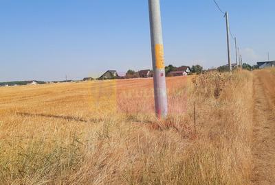 Teren pentru casă/case în Brănești pe strada Toporași - 8