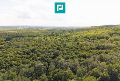 Teren agricol extravilan de 22900 mp, în Exterior Sud - 7