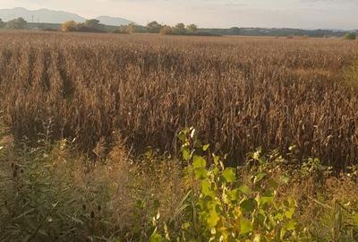 Teren de 3940 mp, în Simeria - 5