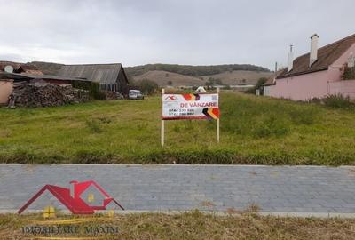 Imobiliare Maxim - teren intravilan - 6