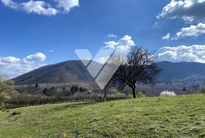 Teren Extravilan de 6630 mp - Cisnadioara - 2