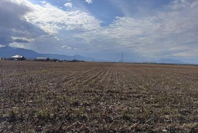 Teren dezvoltare rezidentiala Tarlungeni - zona Izvor - 9