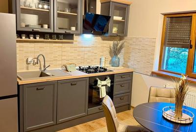 Duplex, Parcul Terra Dumbrăvița - 5