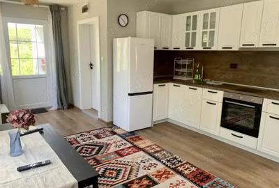 'The little house' de inchiriat de craciun,revelion - 1