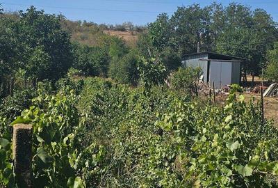Teren 1800 mp + casa batraneasca - Fartanesti, jud. Galati - 3