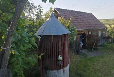 Casă cu 3 camere în Sărmășel - 6