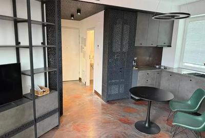 Doua camere mobilat/utilat stil industrial cu terasa zona Parc Carol - 16