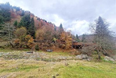 Teren intravilan panoramic 4.600mp,view iconic Piatra Craiului,oportunitate prem - 13