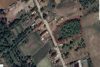 Teren de 2250 mp, în Aluniș - 14