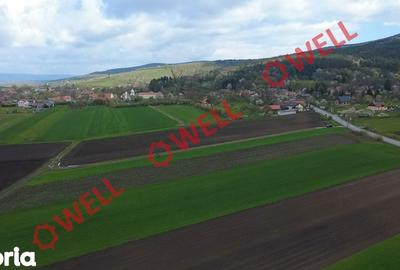 Teren de 5000 mp, în Ozun - 8
