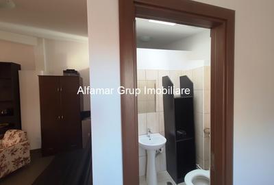 Ideal gradinita, afterschool, birouri- casa 9 camere Sebastian - 12