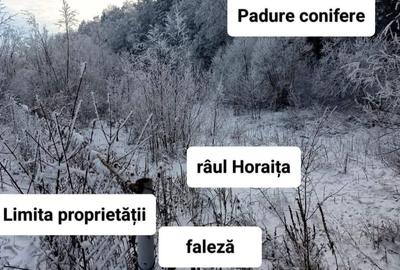 Spațiu comercial, în Negrești - 8