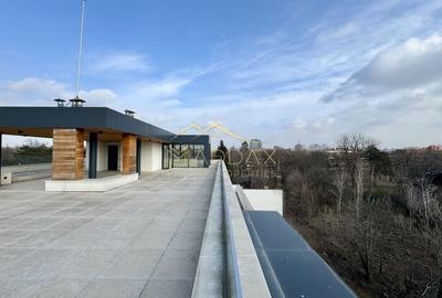 Resedinta de lux / * Kiseleff* - 32