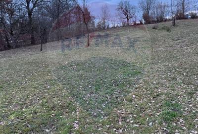 Spațiu comercial, în Rus - 7