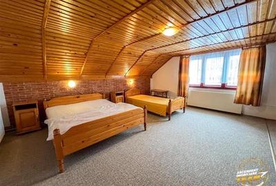 Tu 3D! Pensiune in areal pretios, Moieciu, Bran, Brasov - 43