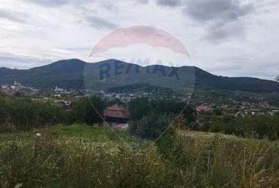 TEREN INTRAVILAN 2900 mp ȘIMLEU SILVANIEI/ Str. Corneliu Coposu/Sălaj - 2