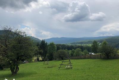 Teren de 2281 mp, în Valea Doftanei - 4
