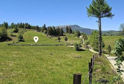 Teren de 6924 mp, în Arieșeni - 3