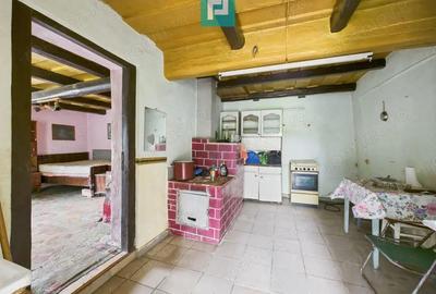 Casa traditionala cu anexe in ODVOS, comuna Conop. - 4