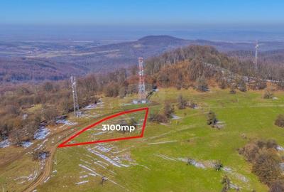 COMISION 0% Teren 3,100mp /Intravilan/ Dumbravi?a - 2