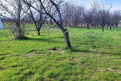 Casă individuală cu 5 camere cu Canalizare în Cornetu - 6