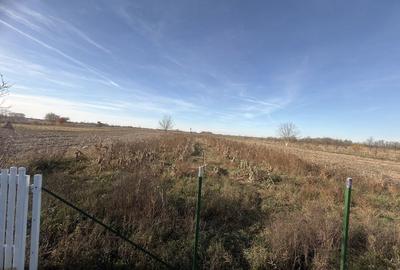 Teren de 2800 mp, în Micula - 7