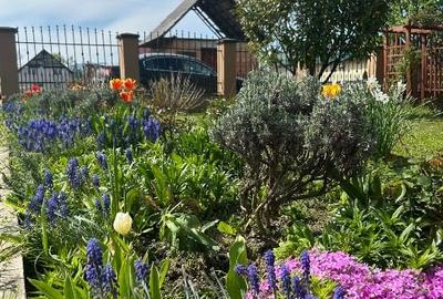 Casa de vanzare Ocna Sgatag - 2