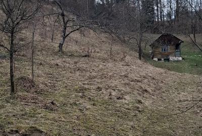 Spațiu comercial, în Valea Vișeului - 3