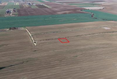 RECO Teren intravilan in LIvada de Bihor - 5