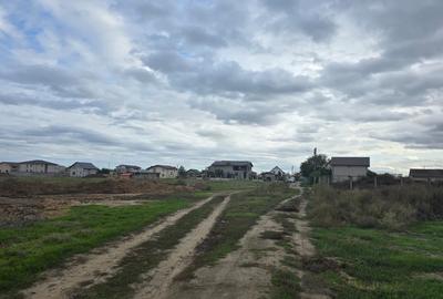 Vanzari terenuri in Ovidiu Vanzari terenuri in Ovidiu - 3