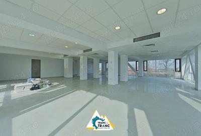 Spațiu comercial, de 200 mp, în Micălaca - 3