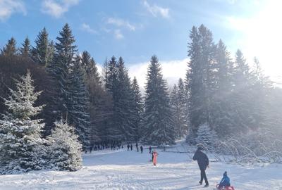 1,93ha de vanzare Poiana Brasov, de la proprietar - 2
