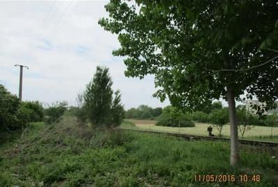 Teren de 5900 mp, în Chișoda - 4