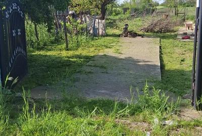 Teren de 70000 mp, în Dioști - 3