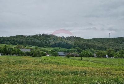 Teren 1,495mp Dobreni / Strada Parau Almas - 18