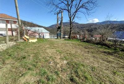 Teren de 2500 mp, în Vest - 11