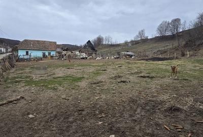 Teren de 1115 mp, în Bârghiș - 6