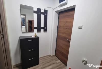 Apartament cu 2 camere semidecomandat, mobilat în Brazda lui Novac - 9