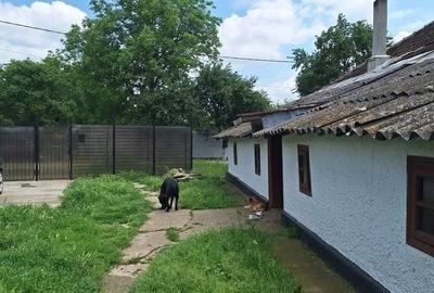 Casă cu 3 camere cu Teren 2420 Mp în Central - 9