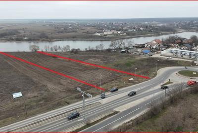 Teren Construcții intravilan de 3355 mp, în Moara Vlăsiei - 3
