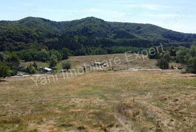 Teren de 1175 mp, în Central - 9