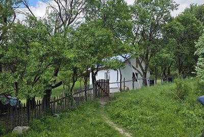 Casă cu Teren 2500 Mp în Poiana Pletari - 2