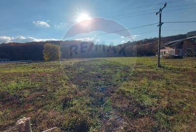 Teren intravilan de vanzare in Hidiselul de Jos, jud.Bihor - 7
