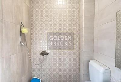 Pache Protopopescu | PROTV | Vizibilitate |  Curte 250 mp | Garaj - 17