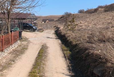 Teren de 1000 mp, în Sânnicoară - 1