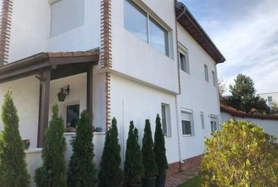 Vila deosebita 11 camere Erou Iancu Nicolae