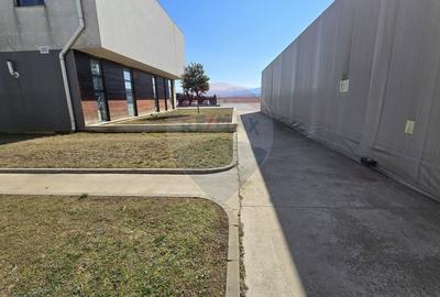 Spațiu industrial, de 16,000 mp, în Vest - 5