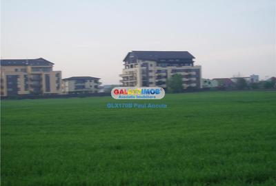 Teren de 35000 mp, în Corbeanca - 2