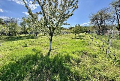 Casă cu 2 camere în Alexeni - 7